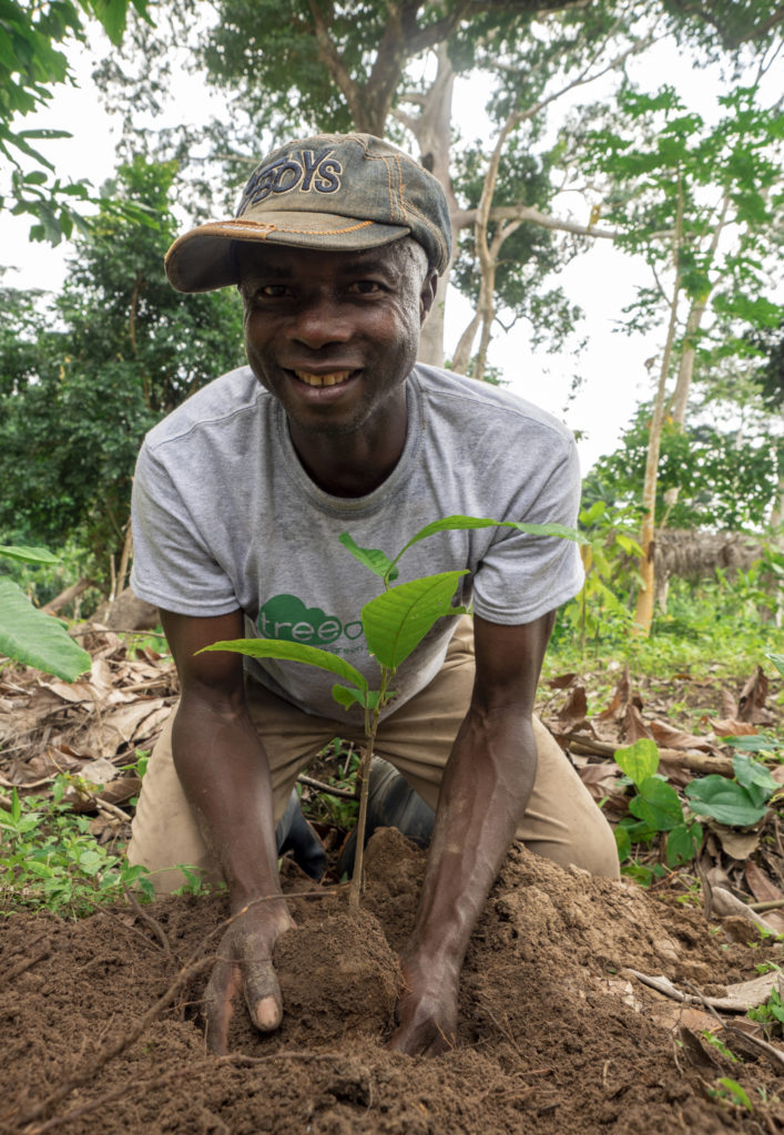 Tree planting in Cameroon